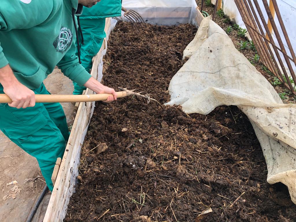 vermicompost